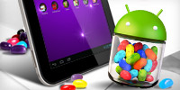 Android™ 4.2 JellyBean